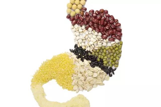 長(zhǎng)夏養(yǎng)生，吃出好“ 胃”口！